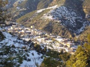 غابات بلدية  المروج  تحت الثلوج 50