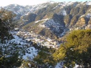 غابات بلدية  المروج  تحت الثلوج 52