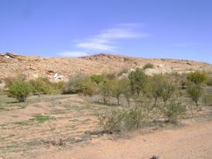 Paysage de la région  Ouled Yahia  dans la wilaya d'El Bayadh