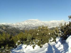 غابات بلدية  المروج  تحت الثلوج 57