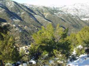 غابات بلدية  المروج  تحت الثلوج 58