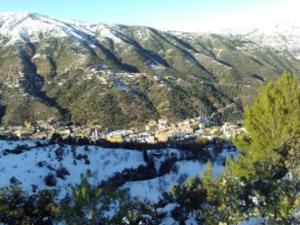 غابات بلدية  المروج  تحت الثلوج 62