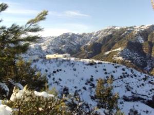 غابات بلدية  المروج  تحت الثلوج 63