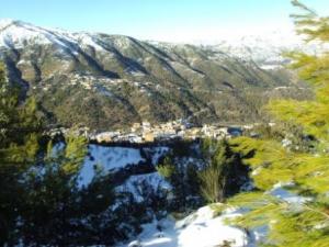 غابات بلدية  المروج  تحت الثلوج 64