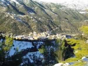 غابات بلدية  المروج  تحت الثلوج 65