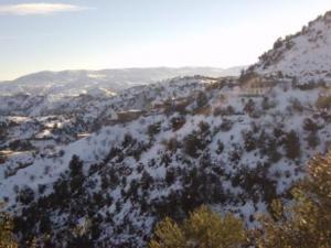 غابات بلدية  المروج  تحت الثلوج 66