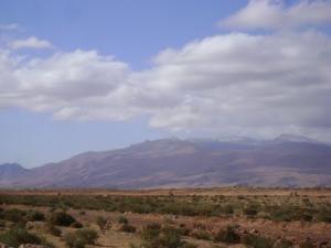 Sur la Route de Boussemghoune