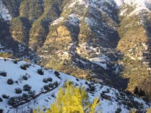 غابات بلدية  المروج  تحت الثلوج 67