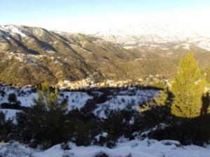 غابات بلدية  المروج  تحت الثلوج 68