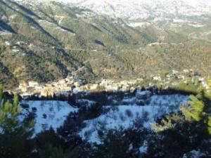 غابات بلدية  المروج  تحت الثلوج 69