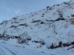 غابات بلدية  المروج  تحت الثلوج 70