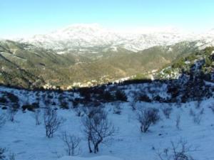 غابات بلدية  المروج  تحت الثلوج 71