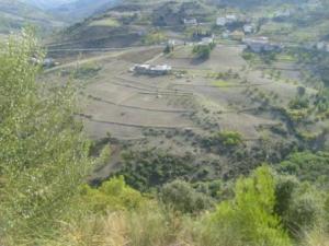 غابات بلدية 