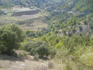 منظر طبيعي بضواحي بلدية المروج (5)