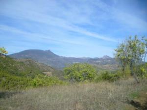 منظر طبيعي بضواحي بلدية المروج 1