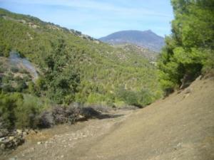 منظر طبيعي بضواحي بلدية المروج 8