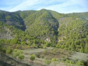 منظر طبيعي بضواحي بلدية المروج 10