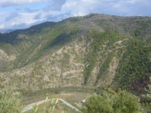 منظر طبيعي بضواحي بلدية 