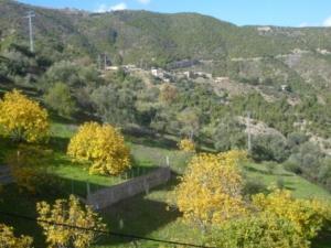 منظر طبيعي بضواحي بلدية 