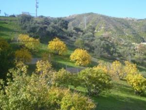 منظر طبيعي بضواحي بلدية 