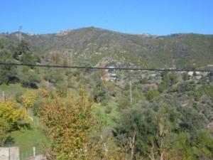 منظر طبيعي بضواحي 