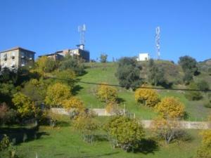 منظر طبيعي بضواحي 