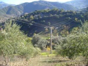 منظر طبيعي بضواحي 