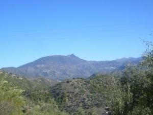 منظر طبيعي من ضواحي 