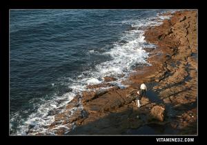 هواة الصيد البحري بشاطئ 