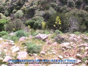 منظر طبيعي من جبل 