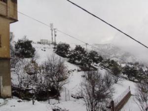 شوارع مدينة 