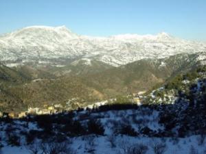 غابات بلدية  المروج  تحت الثلوج 72