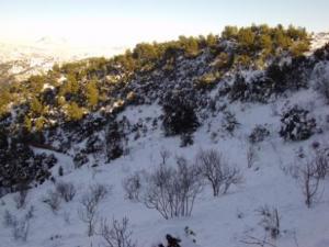 غابات بلدية  المروج  تحت الثلوج 73