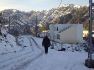 غابات بلدية  المروج  تحت الثلوج 75