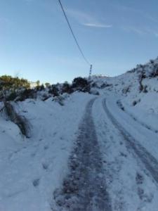 غابات بلدية  المروج  تحت الثلوج 80