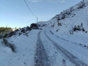 غابات بلدية  المروج  تحت الثلوج 81