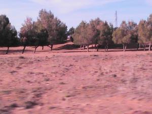 Paysage d'El Bayadh