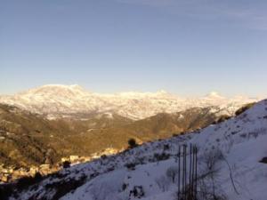 غابات بلدية  المروج  تحت الثلوج 84