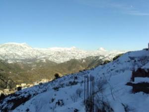 غابات بلدية  المروج  تحت الثلوج 85