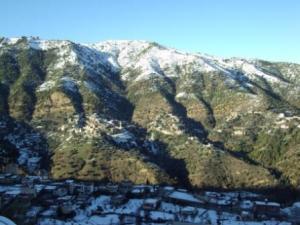 غابات بلدية  المروج  تحت الثلوج 86