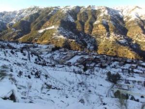 غابات بلدية  المروج  تحت الثلوج 87