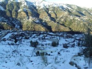 غابات بلدية  المروج  تحت الثلوج 88