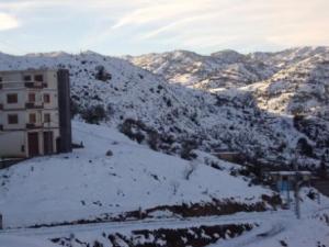 غابات بلدية  المروج  تحت الثلوج 91