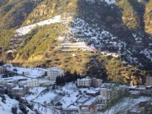 غابات بلدية  المروج  تحت الثلوج 92