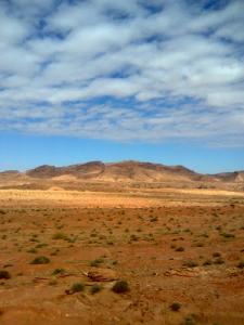 Paysage semi saharien dans la périphérie d'El Bayadh