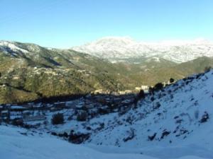 غابات بلدية  المروج  تحت الثلوج 97