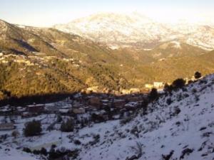 غابات بلدية  المروج  تحت الثلوج 98