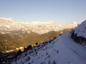 غابات بلدية  المروج  تحت الثلوج 99