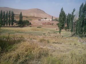 Paysage de la Commune de Sidi Amar