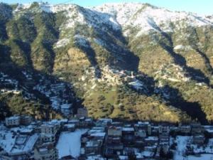 غابات بلدية  المروج  تحت الثلوج 100